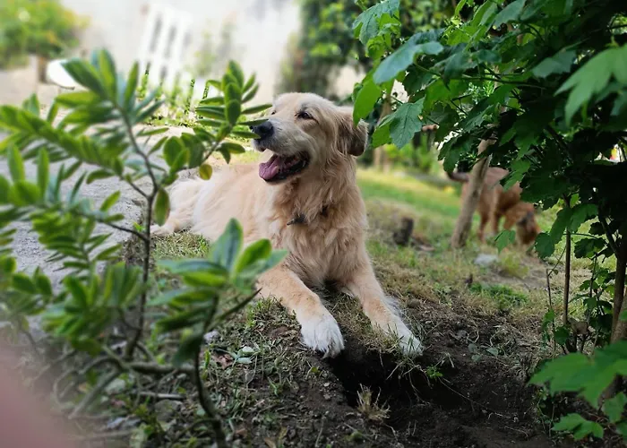 Prázdninový dům A Casina De Tuli